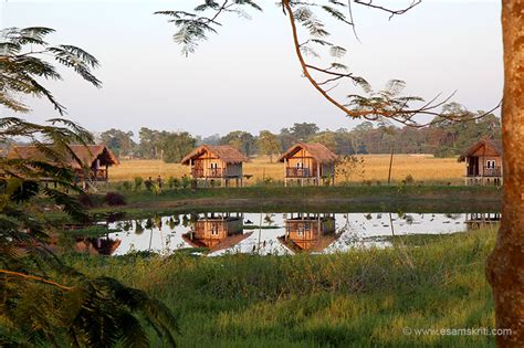 Majuli SATRAS and Landscape