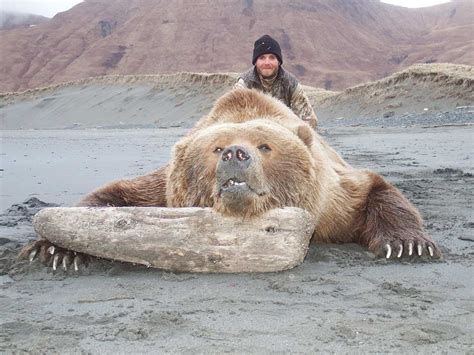 Guided Kodiak Brown Bear Hunts | Katmai & Aniakchak Guide Services