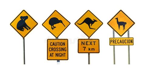 Animal road warning signs stock image. Image of kiwi - 195562655