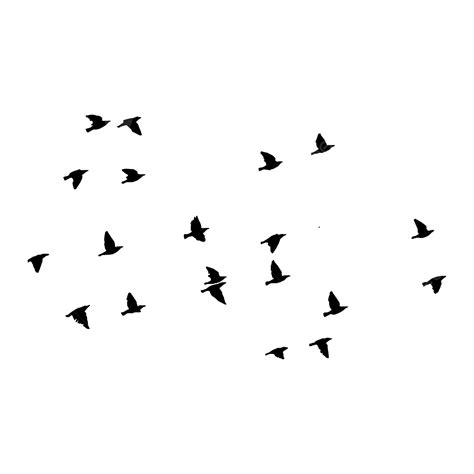 Black Flying Bird Drawing