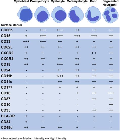 Cd34 Calendrier 2022 - Calendrier Pleine 2022