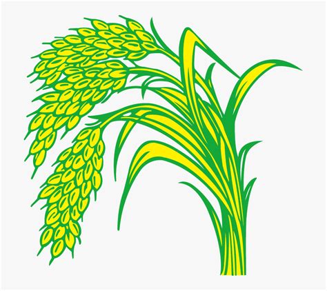 Rice Field Drawing - Rice Plant Clipart Png, Transparent Png ...