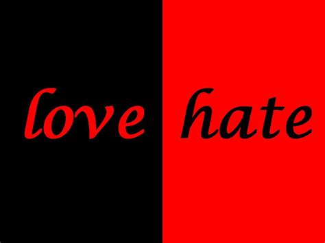 Quotes About Love And Hate. QuotesGram