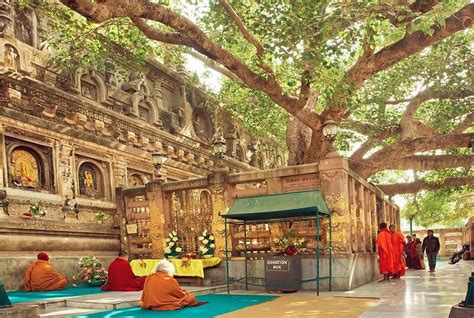 Buddha Temple, Bodh Gaya Bihar - Travel Guide - Tusk Travel