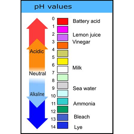 Ph Scale Acids And Bases