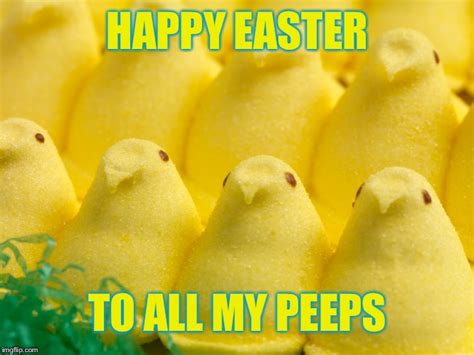 Easter Peeps Memes - momsegy