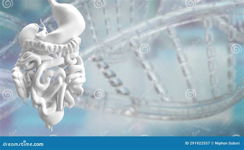 The Viscera for Health and Medical Concept 3d Rendering Stock ...