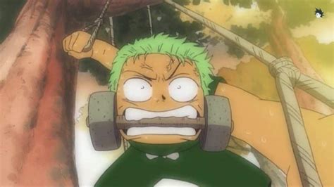 One Piece Zoro - From Pirate Hunter To Supernova! - Anime Informer