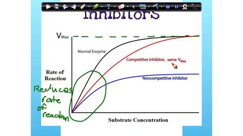 Enzymes -Inhibitors [graph] - YouTube