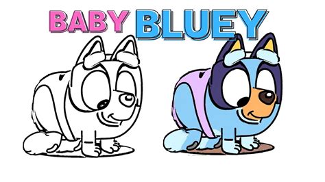 Bluey Baby