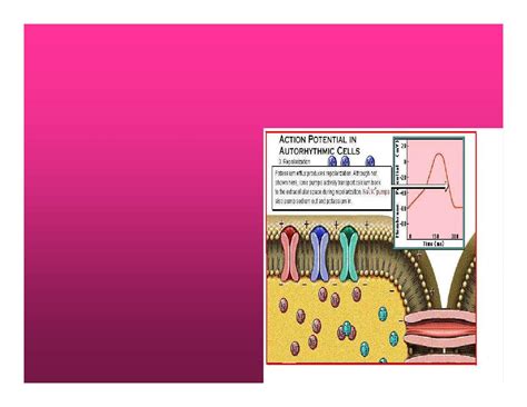 Cardiovascular system pdf - Dr. Eman Al-Hadeethy - Muhadharaty