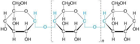 Discuss the Structure and usage of Starch - QS Study