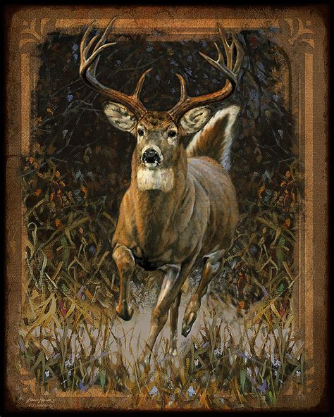 Whitetail Deer Painting by JQ Licensing - Fine Art America