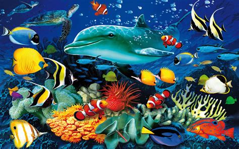 Ocean Animals Wallpaper (52+ images)