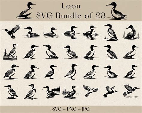 Loon SVG, Loon Bird SVG, Loon Vector, Loon PNG, Loon Silhouette, Bird ...