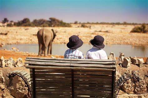 Best Places to Stay in Etosha National Park & Nearby (Namibia)