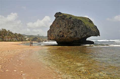 Bathsheba Beach Rock Formations