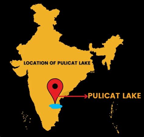 Pulicat Lake: Facts & Location on India Map [UPSC 100%]