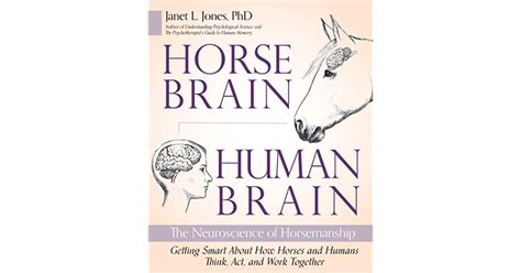 Book Review: Horse Brain, Human Brain by Janet L. Jones, PhD – Tuskey ...