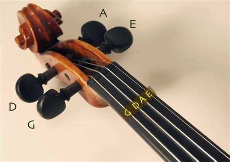 How to Tune a Violin: In-Detail Guide for Beginners [Upd. 2024]