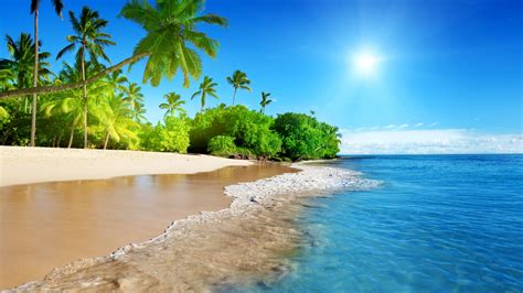 Download wallpaper 1920x1080 tropical beach, sea, calm, sunny day ...