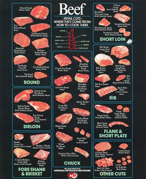 The American Cowboy Chronicles: Cattle Diagrams - Retail Beef Cuts Chart