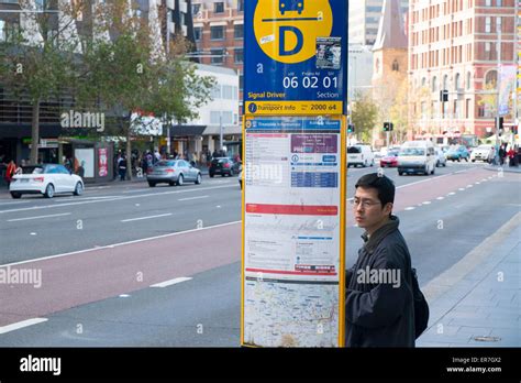 person asian male adult reading bus timetable wait for a bus at sydney ...