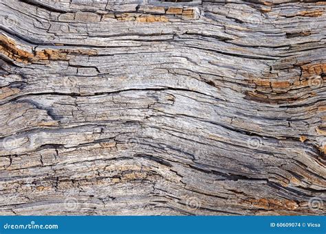 Rotted Wood Background Stock Photos - 222 Images