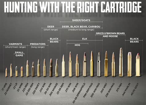 What Type of Ammo Should I use for Hunting? - 80 Percent Arms