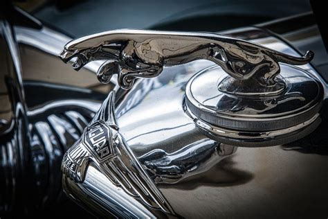 Close-up of an old Jaguar automobile emblem | Jaguar, Jaguar car, Car ...