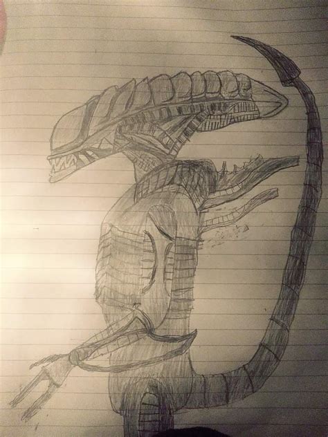 Xenomorph Warrior art | Alien Versus Predator Universe Amino