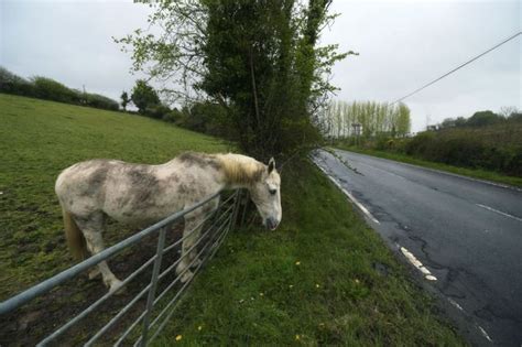 Republic of Ireland–United Kingdom border - Alchetron, the free social ...