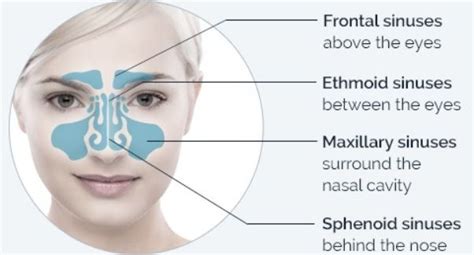 Quick Way To Relieve Sinus Pressure - Just For Guide