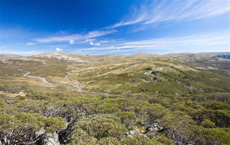 The Ultimate Mount Kosciuszko Hike Guide in 2023