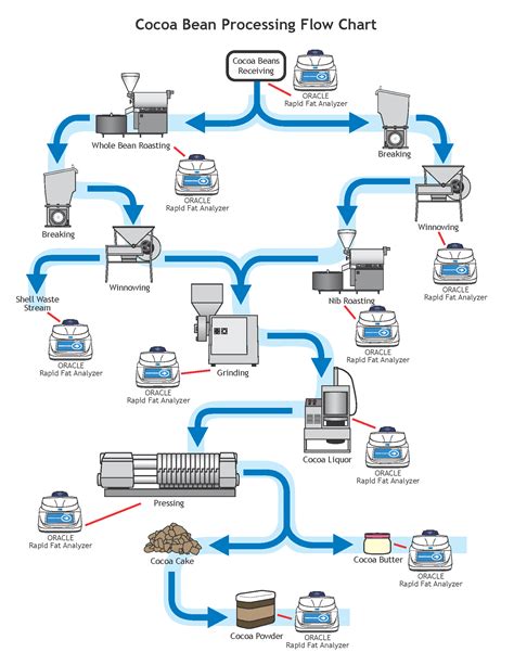 Cocoa Bean Production Process