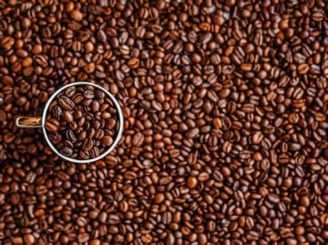 What are the Best Espresso Beans? Top Picks from 14 Experts