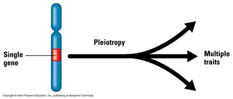 Biology: marzo 2011