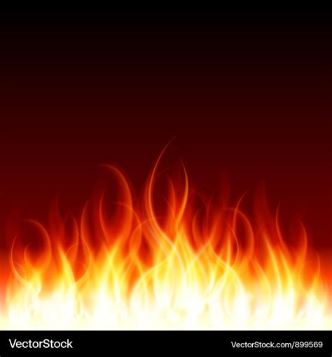 Burning flames background Royalty Free Vector Image