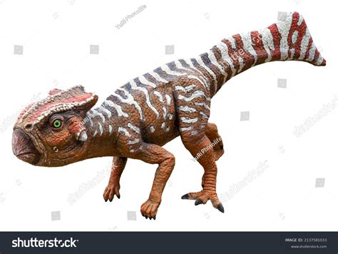 2 Koreaceratops Images, Stock Photos & Vectors | Shutterstock