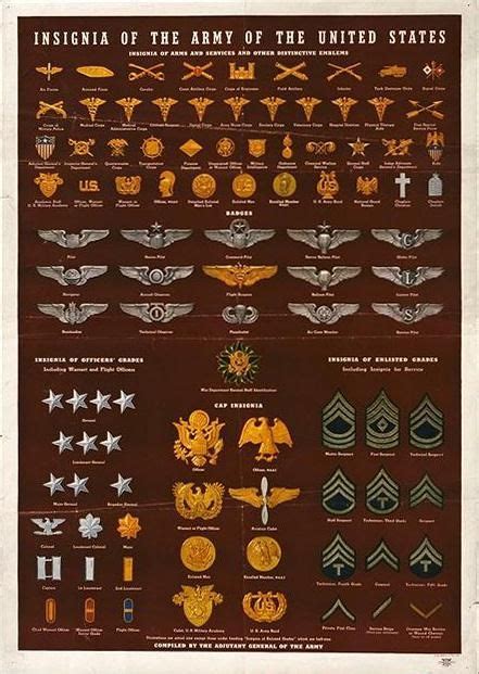 √ Us Army Rank Insignia 1960 - Navy Visual