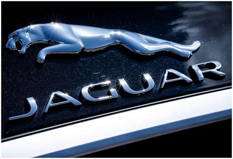 Jaguar Logo Meaning and History, latest models | World Cars Brands