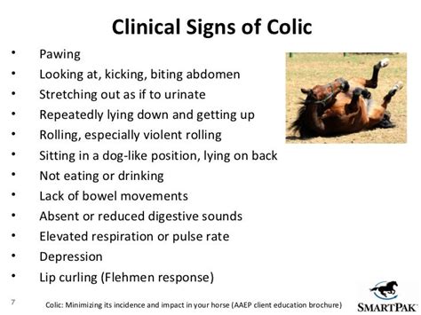 Colic Prevention: Proven tips to help reduce your horse's risk