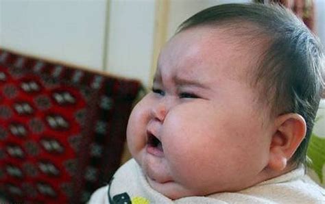 Funny Fat Baby Pictures ~ Zee Post