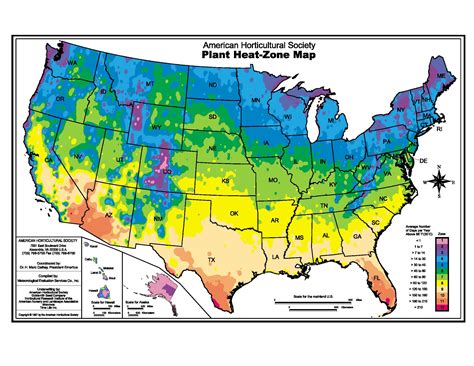 Plant Hardiness and Climate Zones | Pro 1 Landscaping