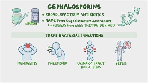 Antibiotics - Cephalosporins: Nursing pharmacology - Osmosis Video Library