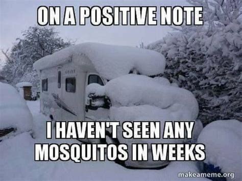 55 Funny Winter Memes That Are Relatable If You Live in the North