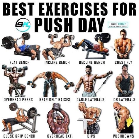 BEST EXERCISES FOR PUSH DAY PLEASE FOLLOW AND LIKE FOLLOW @workout ...