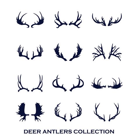 deer antlers collection vector 36498498 Vector Art at Vecteezy