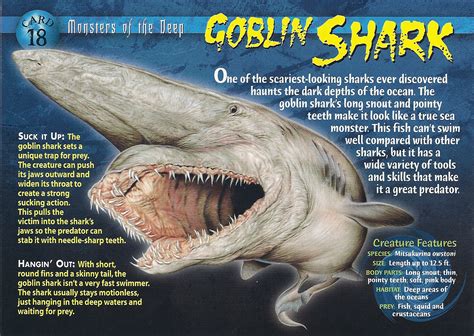 Goblin Shark | Weird n' Wild Creatures Wiki | Fandom