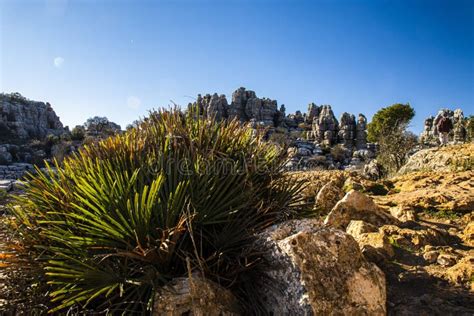 The Torcal De Antequera Natural Park Contains One of the Most ...